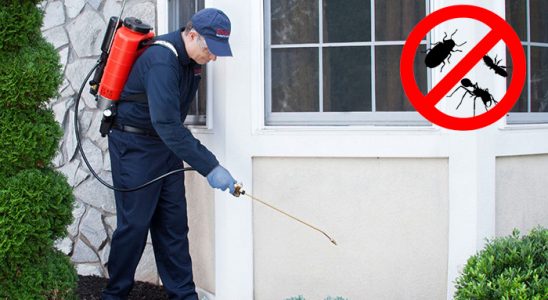 Odunpazarı Karınca İlaçlama böcek ilaçlama ve haşere kontrolü — ilaclama-tr.com